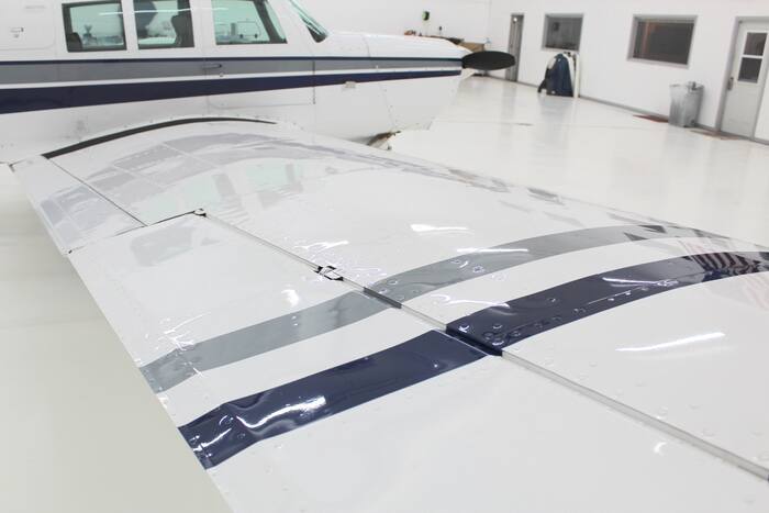 Wing detail with stripes
